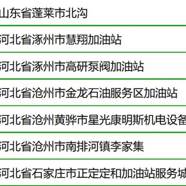 经典案例：加油站标准型潜油泵（八）