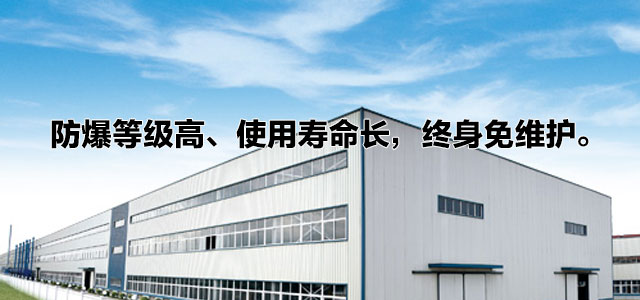 不锈钢液下泵